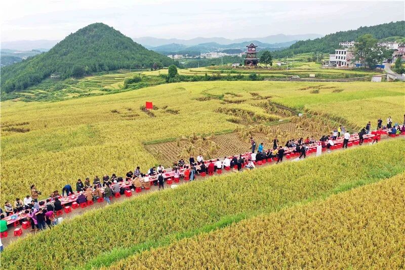 新米艺术对应活动实景或对标