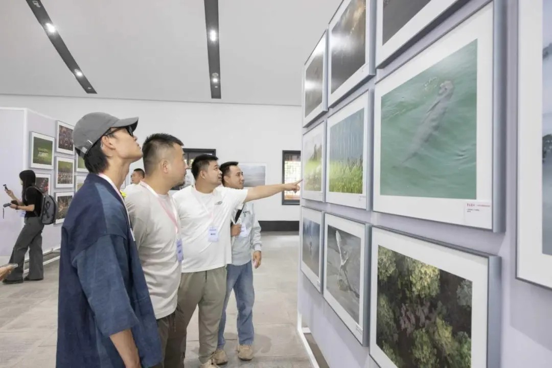贵州摄影展现场对标