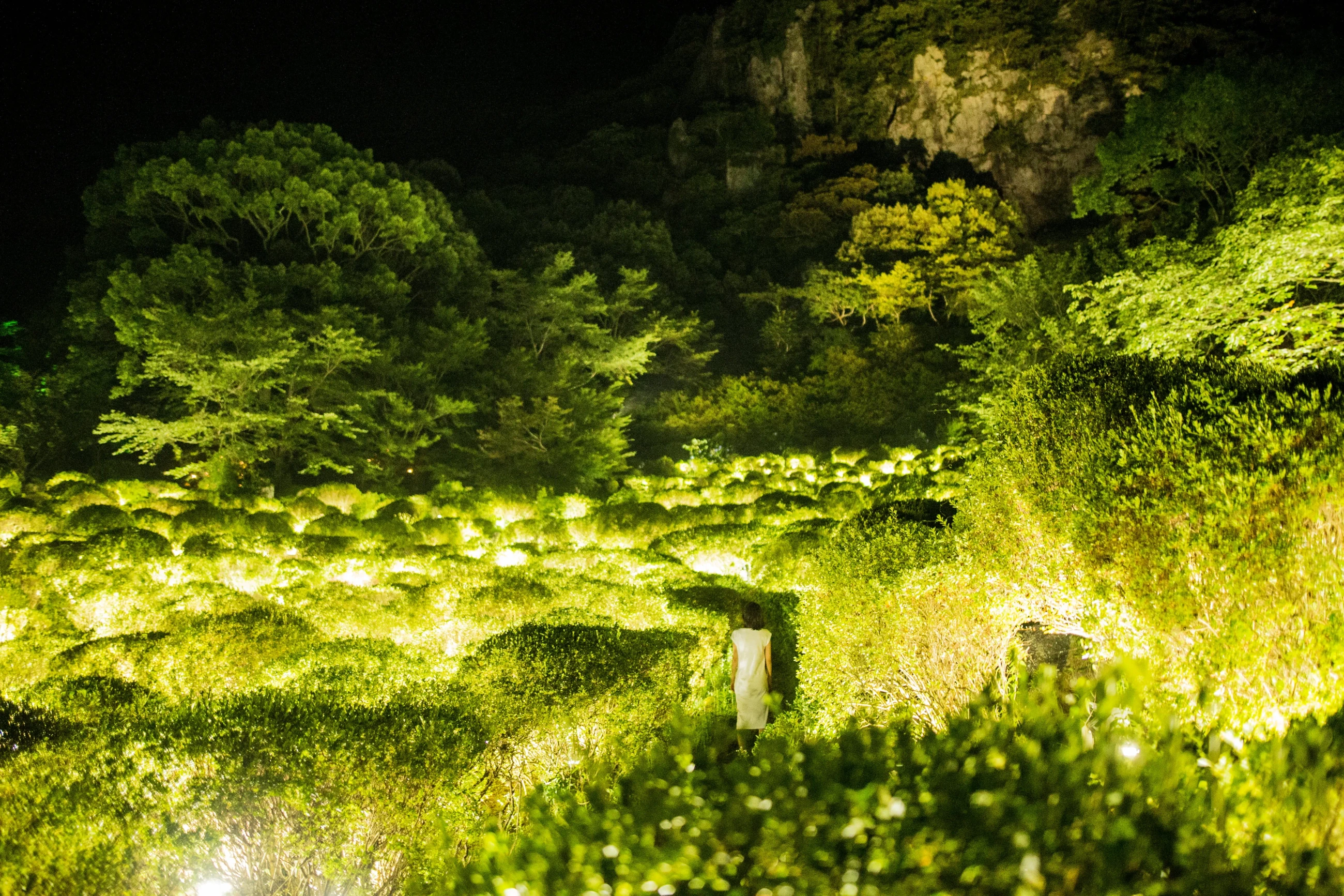 teamLab御船山夜间自然场景的真实艺术现场